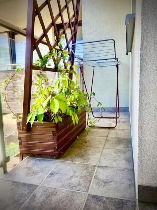 Apartament Grzegorzecka Centrum Cracovia Esterno foto